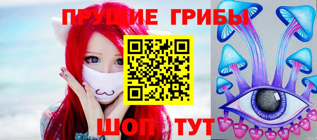 Галлюциногенные грибы Psilocybe Чехов