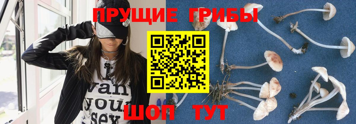 Псилоцибиновые грибы Magic Shrooms  Чехов  Псилоцибиновые грибы Magic Shrooms 
